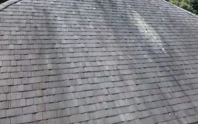 Protect Your Roof with Professional Softwashing in Lee County, NC