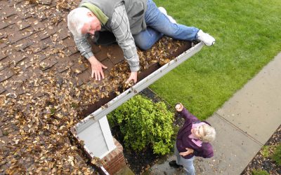 Keep Your Gutters Flowing Freely in Harnett County with Pro Gutter Cleaning
