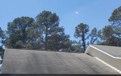 The Hidden Dangers of a Dirty Roof (And How to Clean It Safely)